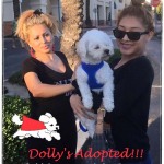 20190521_Dolly_home