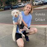 20211127_Gotcha_Cricket