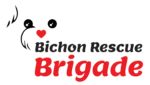 Bichon Rescue Brigade
