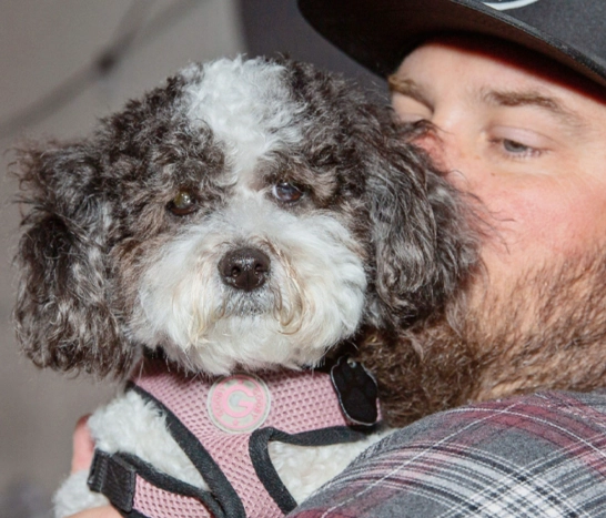 volunteer holding curly dog